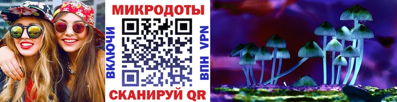 Галлюциногенные грибы прущие грибы  Гаврилов Посад 